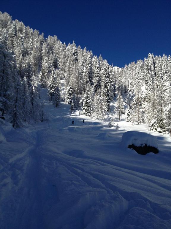La Montanara Bed & Breakfast San Martino Di Castrozza